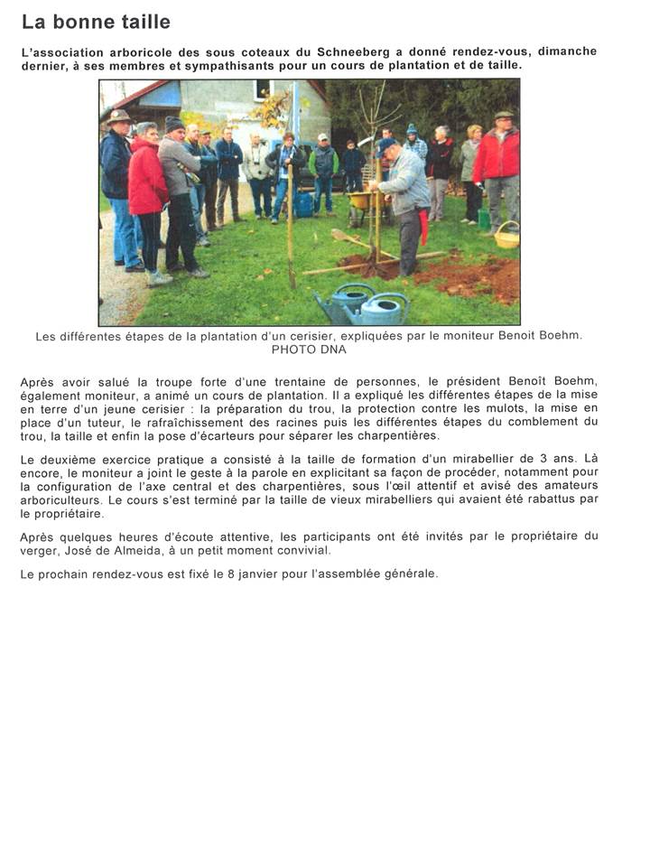 Article des DNA du 15/11/2015 à Allenwiller