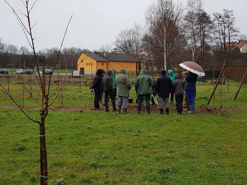 2018 01 20 Stage Arbo Jour Un 02