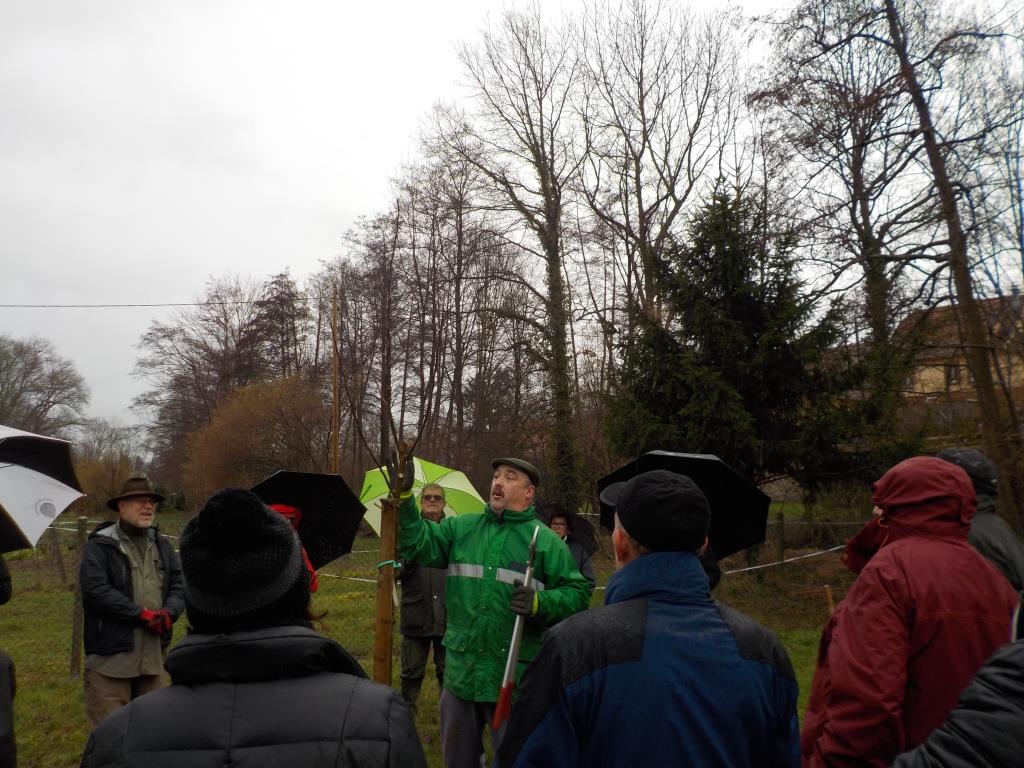 2018 01 20 Stage Arbo Jour Un 09
