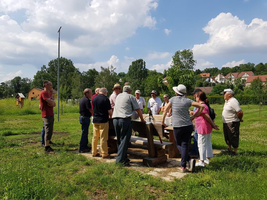 2018 06 16 Cours De Taille En Vert Verger Romanswiller01