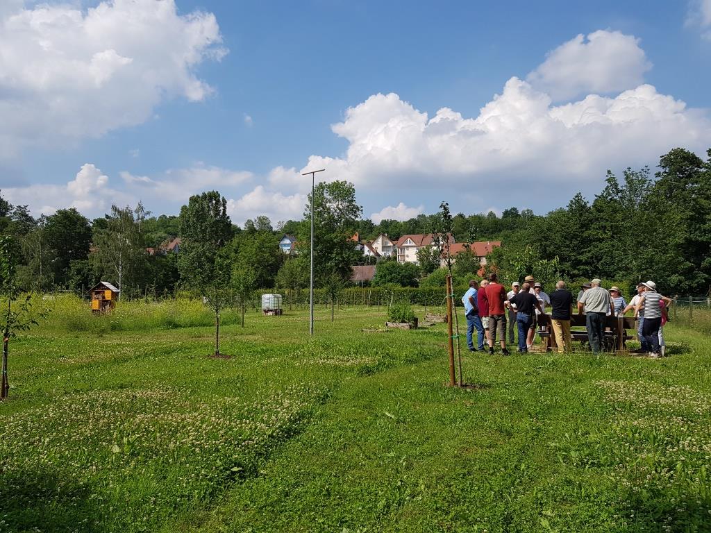 2018 06 16 Cours De Taille En Vert Verger Romanswiller02