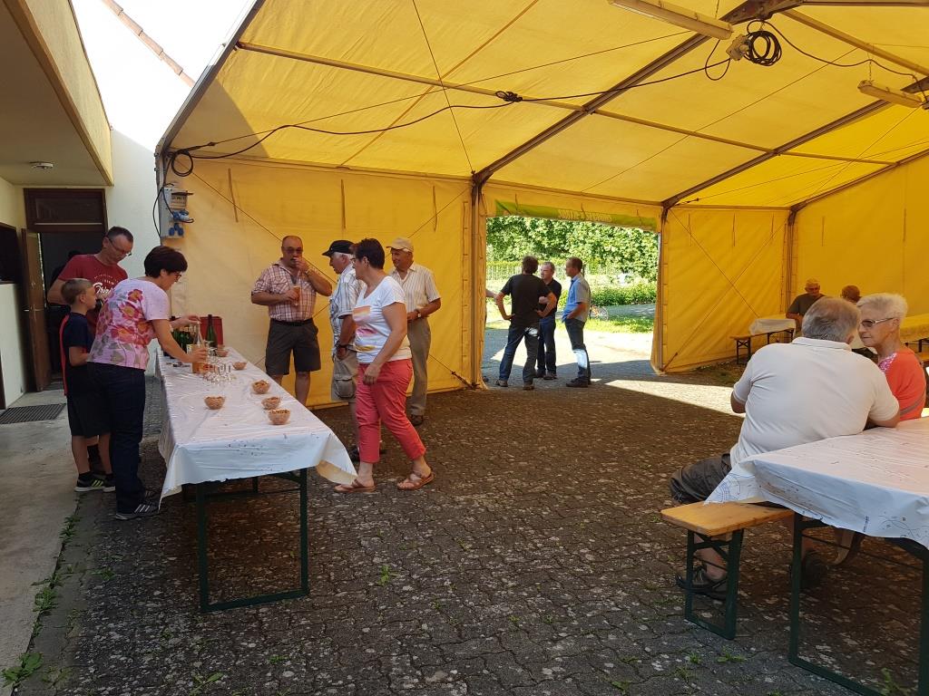 2018 06 16 Cours De Taille En Vert Verger Romanswiller10