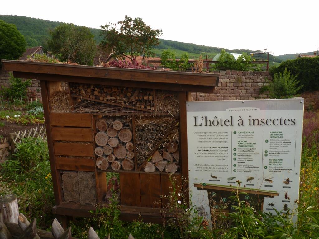 04 hôtel à insectes Wangen
